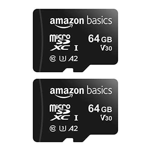 Miglior micro sd 64 gb nel 2022 [basato su 50 valutazioni di esperti]