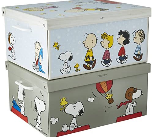 SET 2 PEZZI Scatole in cartone per armadio, con coperchio, per cambio stagione, regalo, abiti MIX SNOOPY 49x40xh24 cm