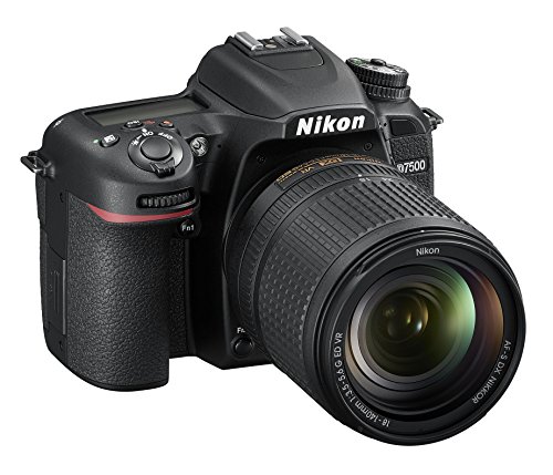 Miglior nikon d750 nel 2022 [basato su 50 valutazioni di esperti]