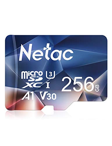 Miglior micro sd 256 gb nel 2024 [basato su 50 valutazioni di esperti]