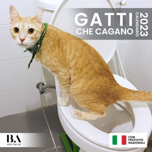 Miglior gatto nel 2024 [basato su 50 valutazioni di esperti]