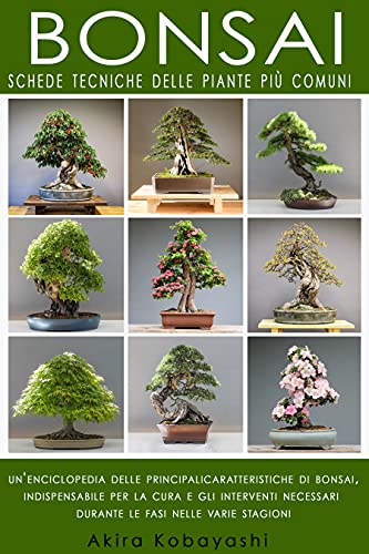 Miglior bonsai nel 2024 [basato su 50 valutazioni di esperti]