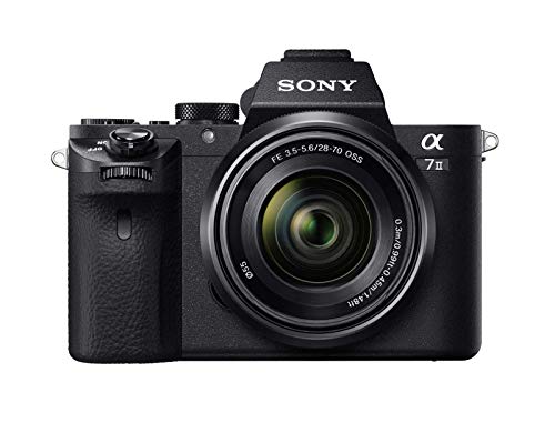 30 Miglior sony a7 iii nel 2024 [basato su 50 valutazioni di esperti]